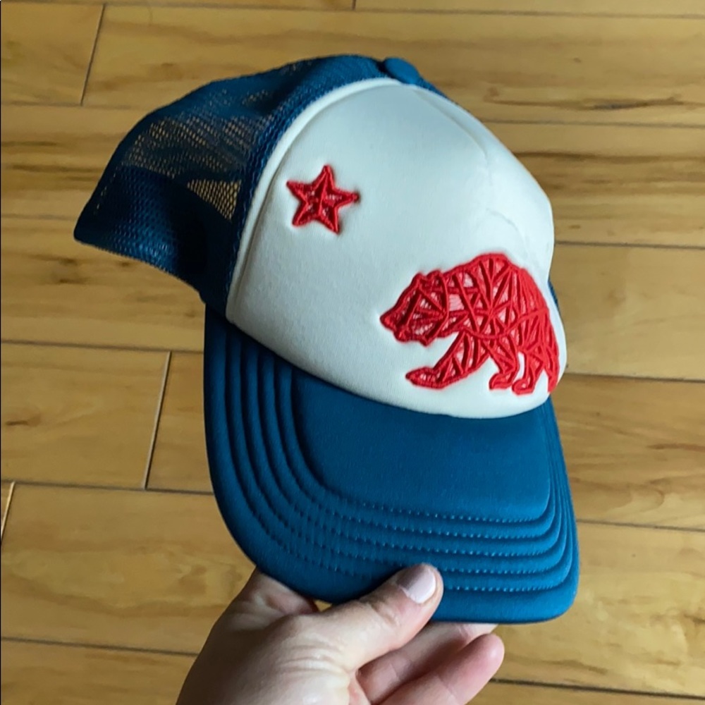 The northface trucker hat